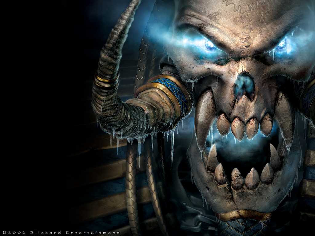 warcraft3ojka